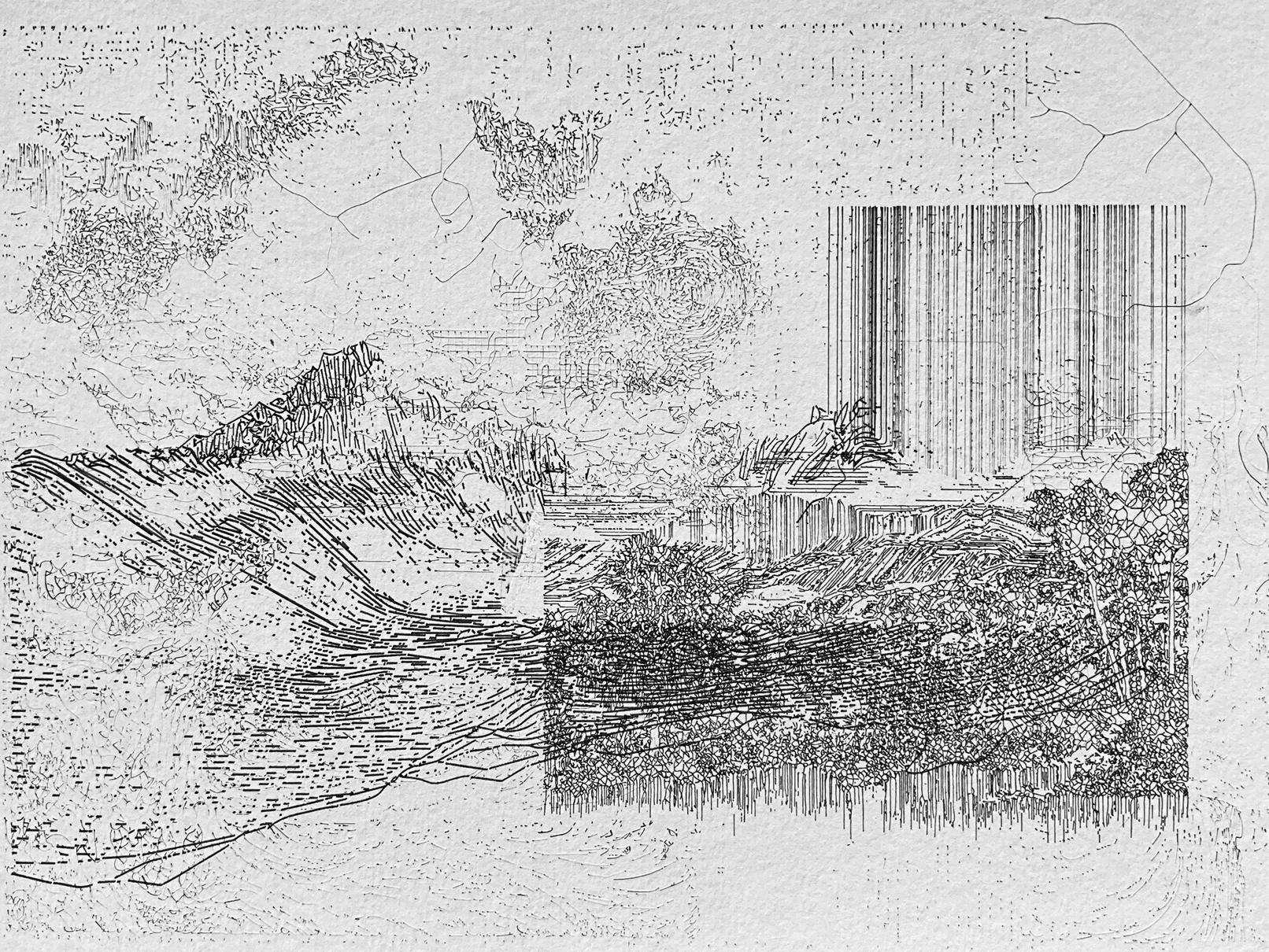 Landscape translated into a dense structure of ink lines