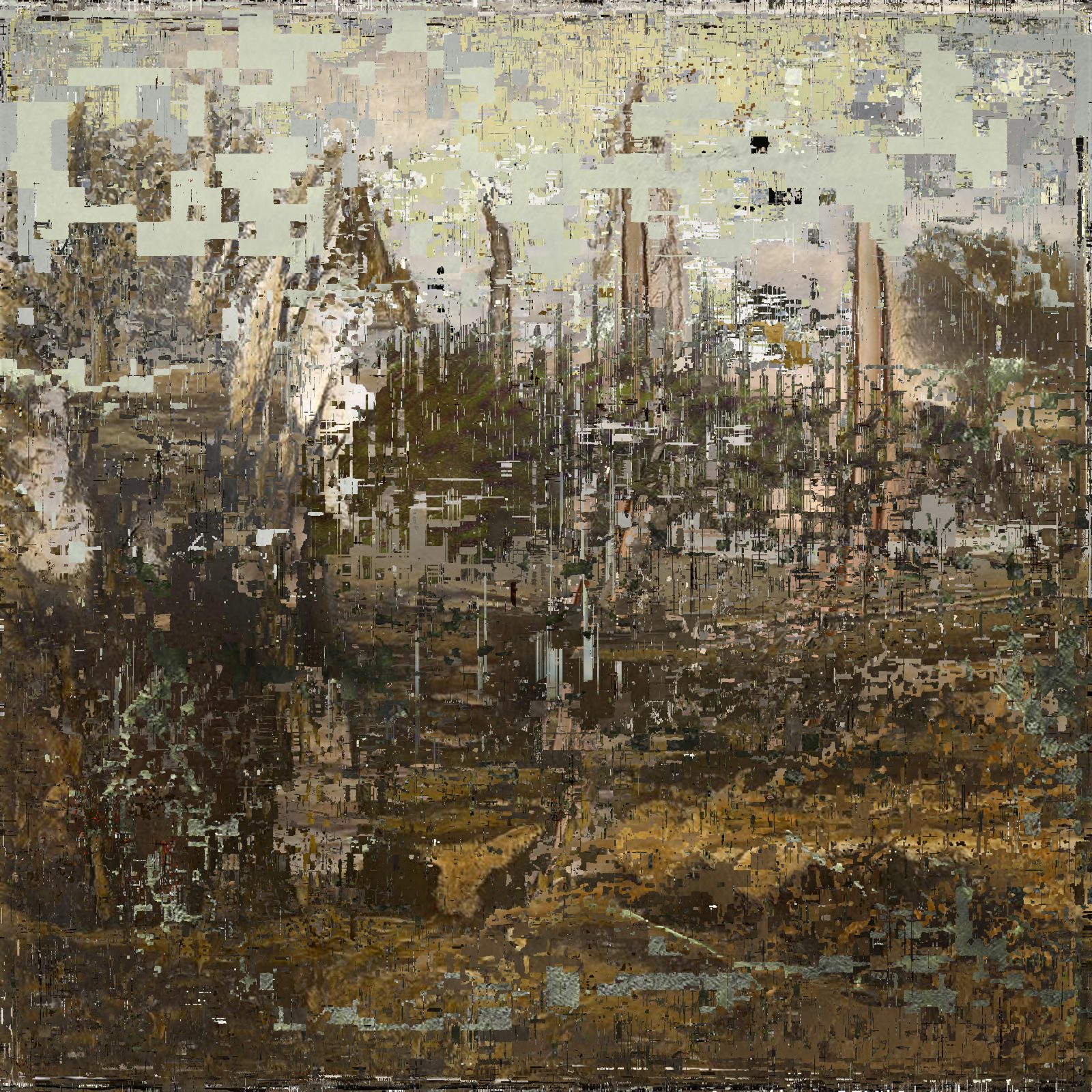 Landscape rebuilt from relocated pixels