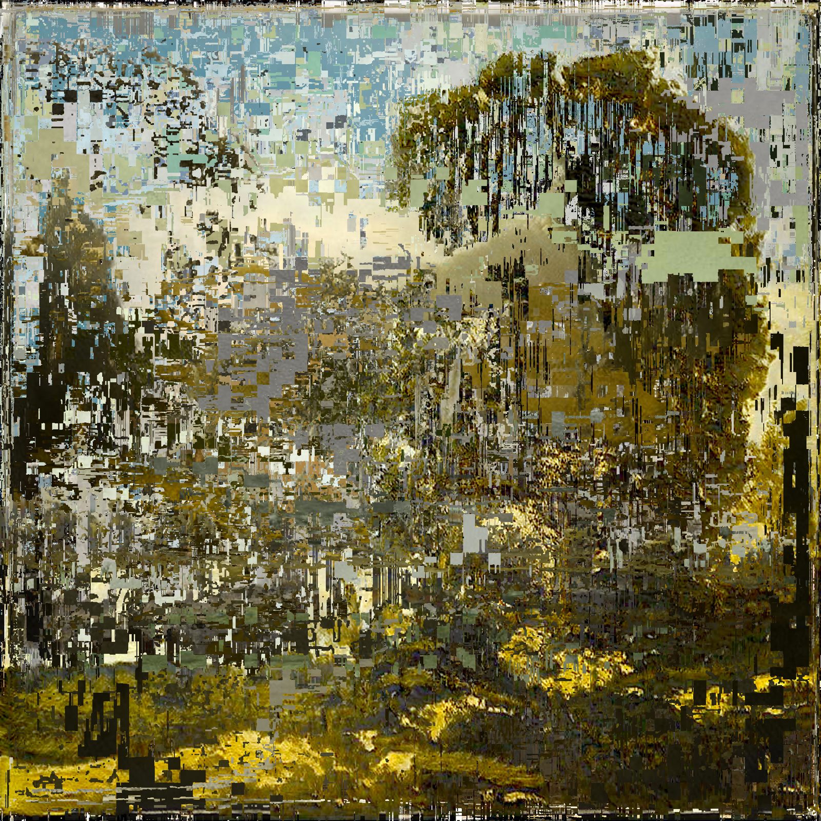 Landscape rebuilt from relocated pixels